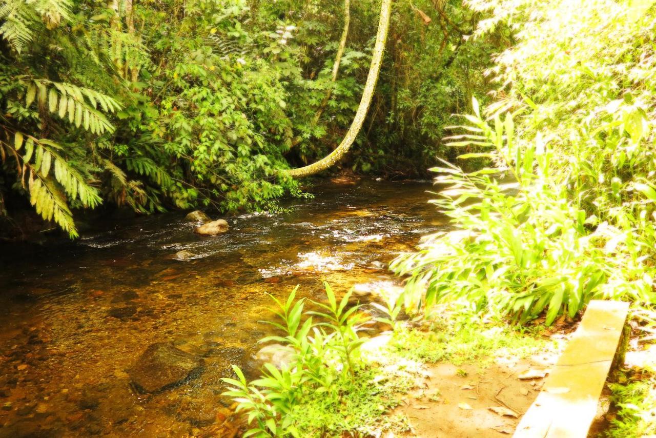 Ecolodge Puente Explanacion Саленто Экстерьер фото